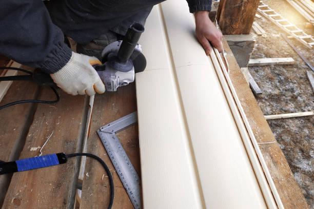 Best Insulated Siding Installation  in Webster City, IA