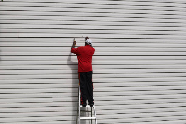 Best Composite Siding  in Webster City, IA