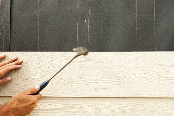 Affordable Siding Repair and Maintenance Services in Webster City, IA