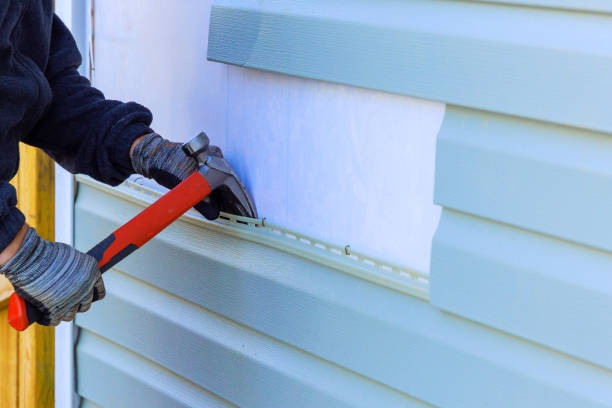 Best Custom Trim and Detailing for Siding  in Webster City, IA